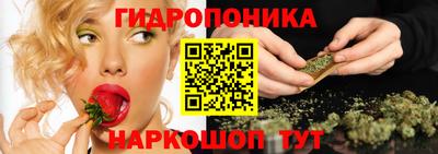 стафф Краснокаменск