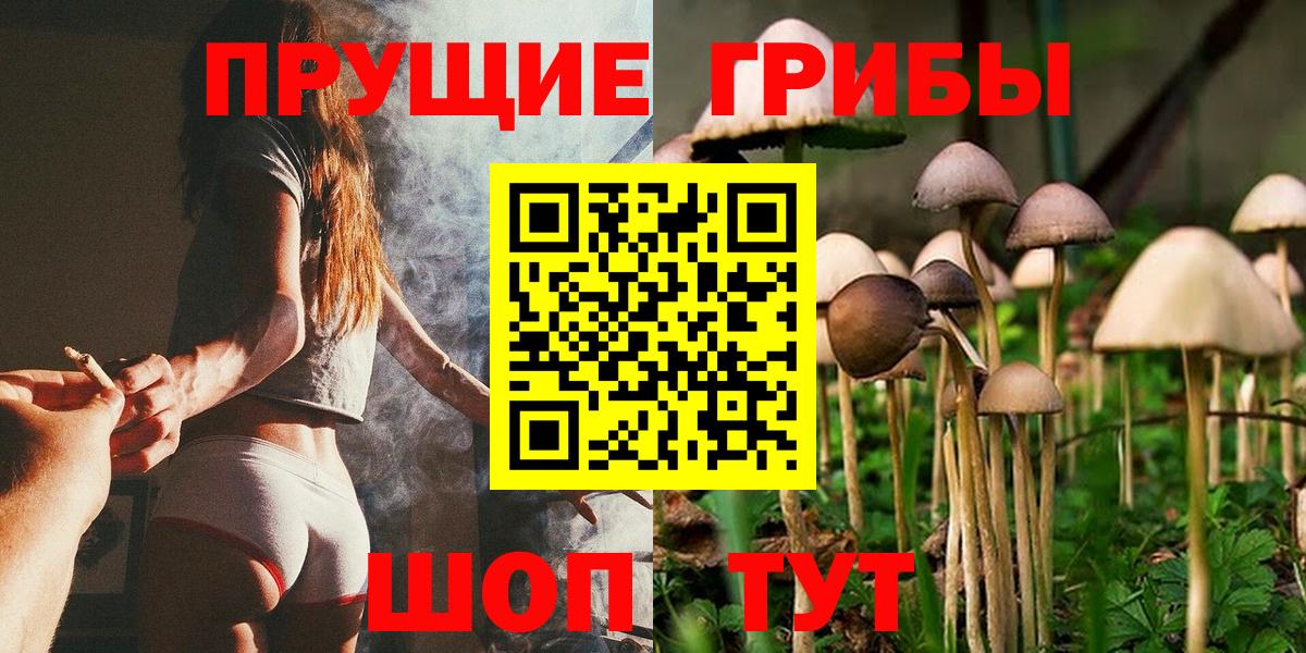 Елец  Галлюциногенные грибы MAGIC MUSHROOMS  Псилоцибиновые грибы прущие грибы  Вход с VPN 