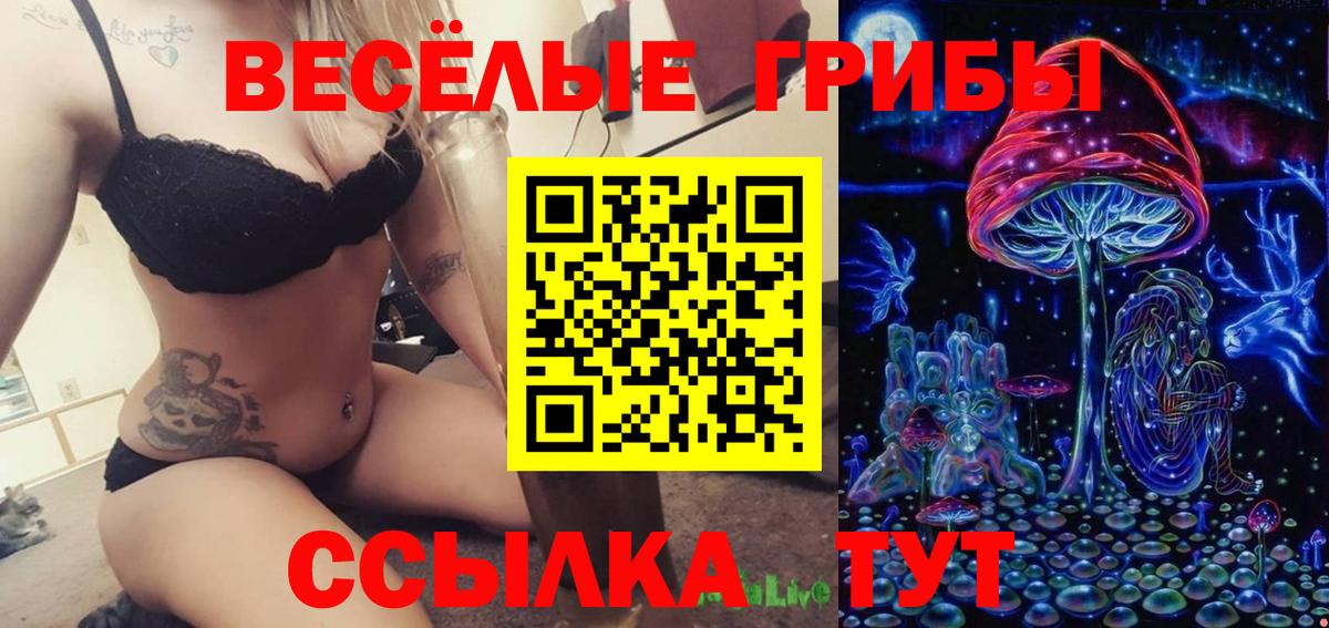 Галлюциногенные грибы мухоморы Елец